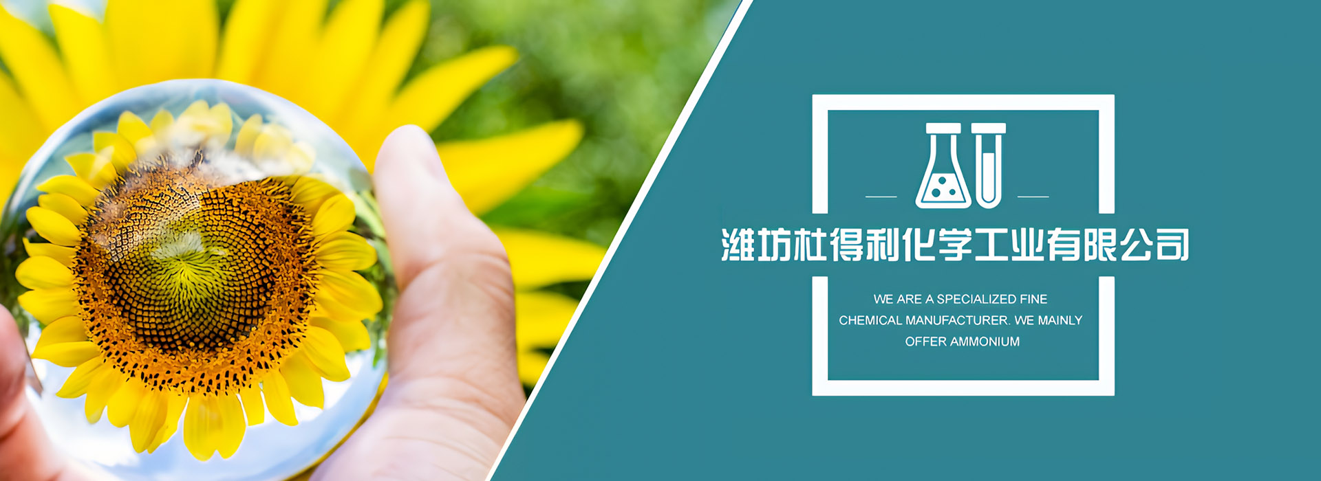 濰坊杜得利化學(xué)工業(yè)有限公司